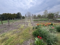 Ács Частный дом 13