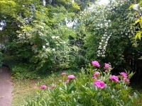 Gödöllő Einfamilienhaus 1