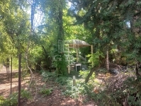 Kiskunlacháza Családi ház 9