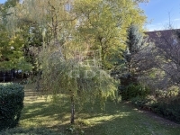 Budapest XI. kerület 公寓房（砖头） 36