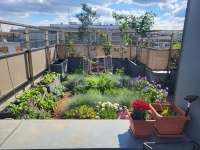 Budapest XIII. kerület Wohnung (Ziegel) 39