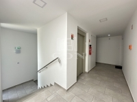 Székesfehérvár Lakás (téglaépítésű) 0