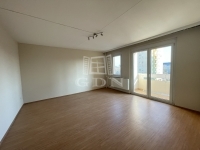 Székesfehérvár 公寓房（非砖头） 6