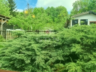 Veszprém Reihenhaus 19