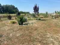 Szigetcsép Участок 4