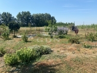 Szigetcsép Участок 1