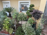 Szigetszentmiklós Családi ház 25