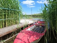 Szigetcsép Családi ház 0