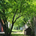 Szigetújfalu Telek 0