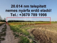 Hajdúnánás 农业区域 - 12.875.000 HUF