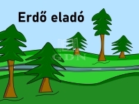 Hajdúnánás 农业区域 - 12.875.000 HUF