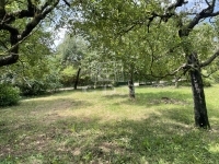 Budakeszi Building lot 1