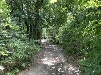 Budakeszi 夏季别墅 5