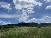 Budakeszi 夏季别墅 3