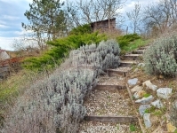 Alcsútdoboz Családi ház 25