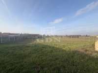 Bana Family House 10