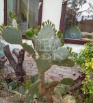 Sükösd Családi ház 8