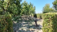 Dusnok 农场 11