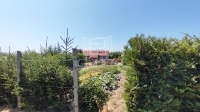 Dusnok 农场 17