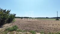 Dusnok 农场 18