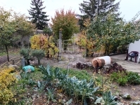 Baja 房子的一部分 4