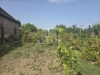 Szászvár 家庭别墅 8