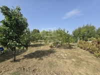 Szászvár 家庭别墅 7