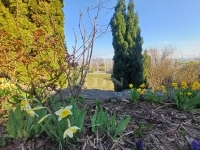 Szekszárd 家庭别墅 30