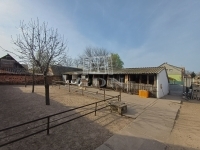 Érsekcsanád 家庭别墅 7