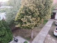 Budapest XVII. kerület Ikerház 9