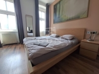 Budapest VI. kerület Flat (brick) 1