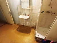 Ecser Casa Familiala 6