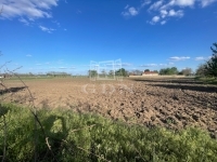 Zsombó 土地 1