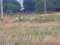 Mórahalom 土地 1