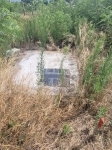 Mórahalom 土地 3