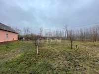 Zákányszék 农场 8