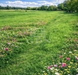 Pásztó 公寓房（砖头） 1