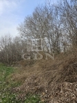 Bugyi 公关公寓 2