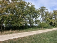 Kiskunlacháza Flat (brick) 18