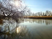 Dunaharaszti Családi ház 22