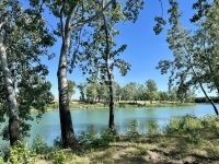 Dunaharaszti Telek 24