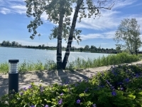 Dunaharaszti Telek 23