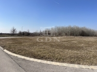 Dunaharaszti Telek 12