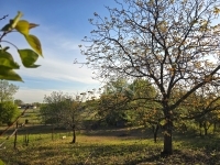 Dunaharaszti Teren pentru constructii 1