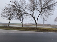 Edelény Ipari terület 3