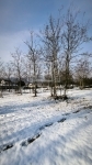 Pócsmegyer Участок 4