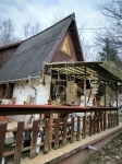 Verőce 家庭别墅 16