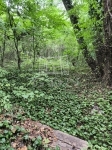 Vácegres 家庭别墅 1