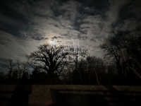 Szigetmonostor Family House 6