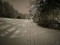 Szigetmonostor Family House 8